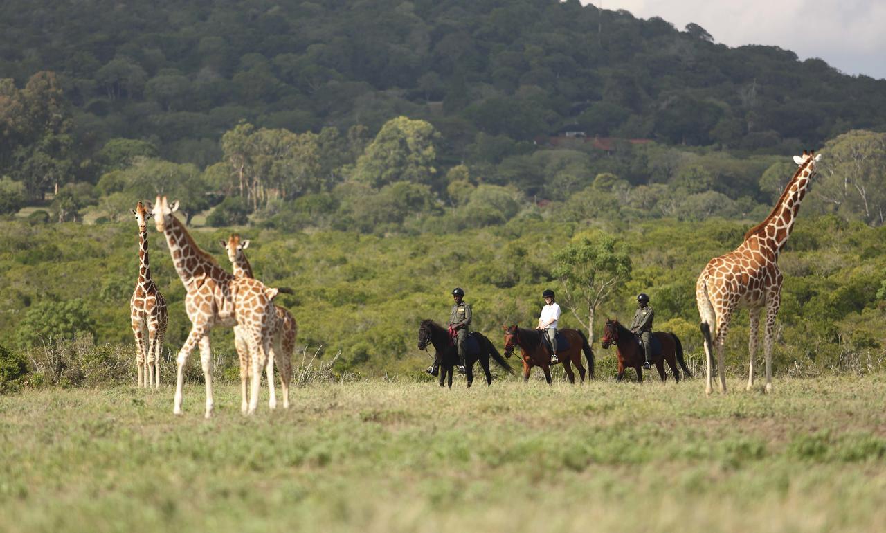 Отель The Aberdare Country Club Mweiga Экстерьер фото